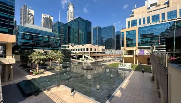 IMG_0273-resize_images